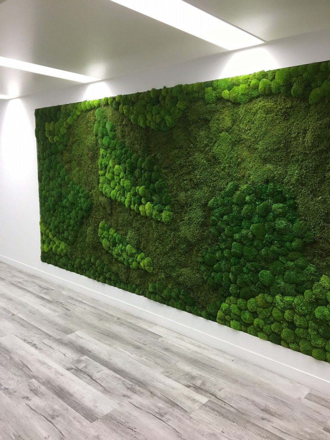 moss walls download free