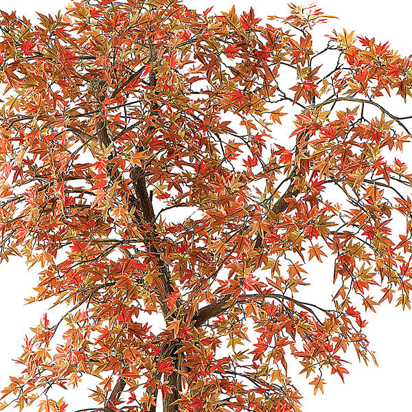 Replica Japanese Maple Tree 8 ft. - Preserved Interiors