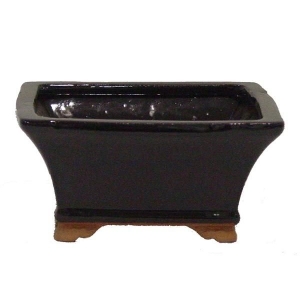 Black square ceramic planter 5x5x2.5''