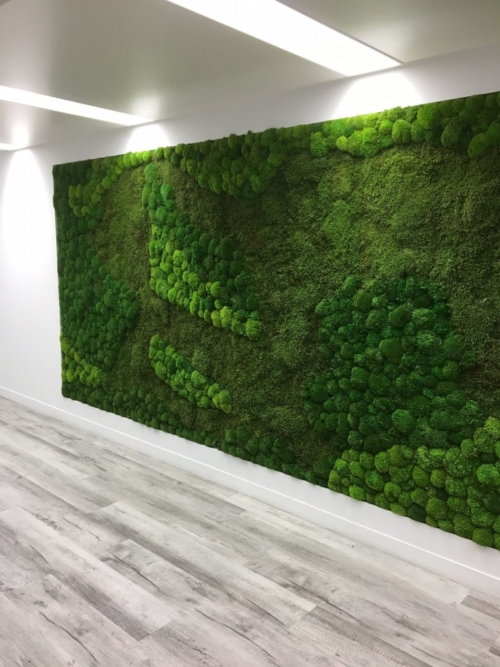 Moss Walls