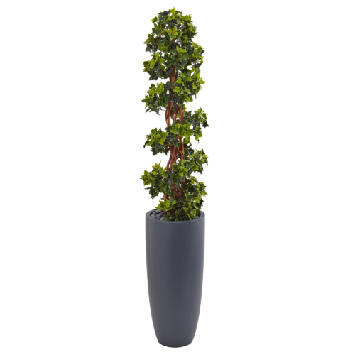 5 ft English Ivy Spiral Topiary Tree In Gray Cylinder Planter