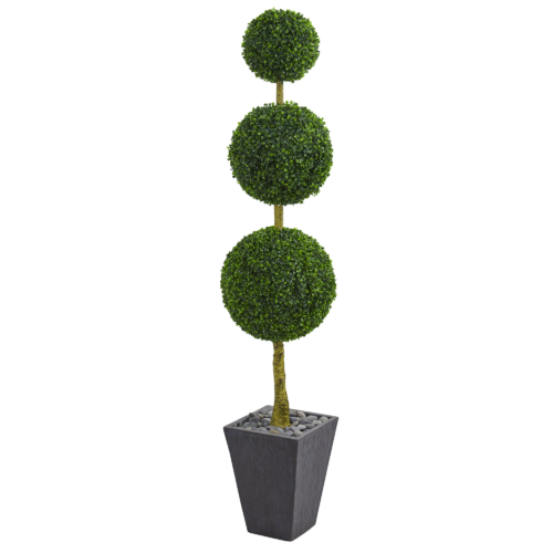 6 ft Boxwood Triple Ball in Slate Planter