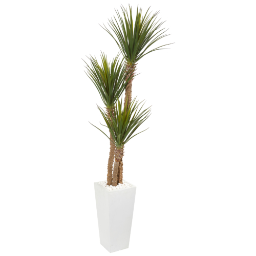 6 ft Yucca Tree in White Tower Planter