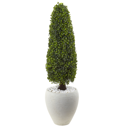 Boxwood Topiary With White Planter