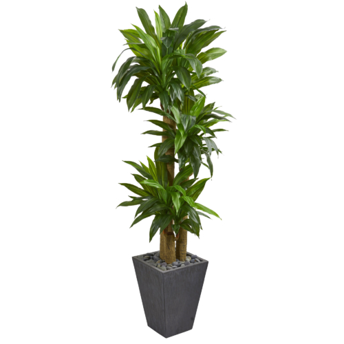 Replica 6 ft Dracaena Tree in Slate Planter