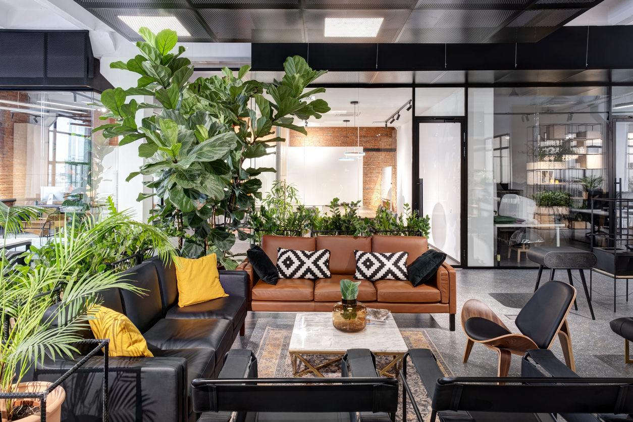 Custom 9 ft  faux Fiddle leaf tree shown in office waiting area