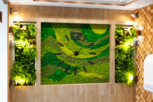 Preserved Custom Moss Wall with Built in Clock