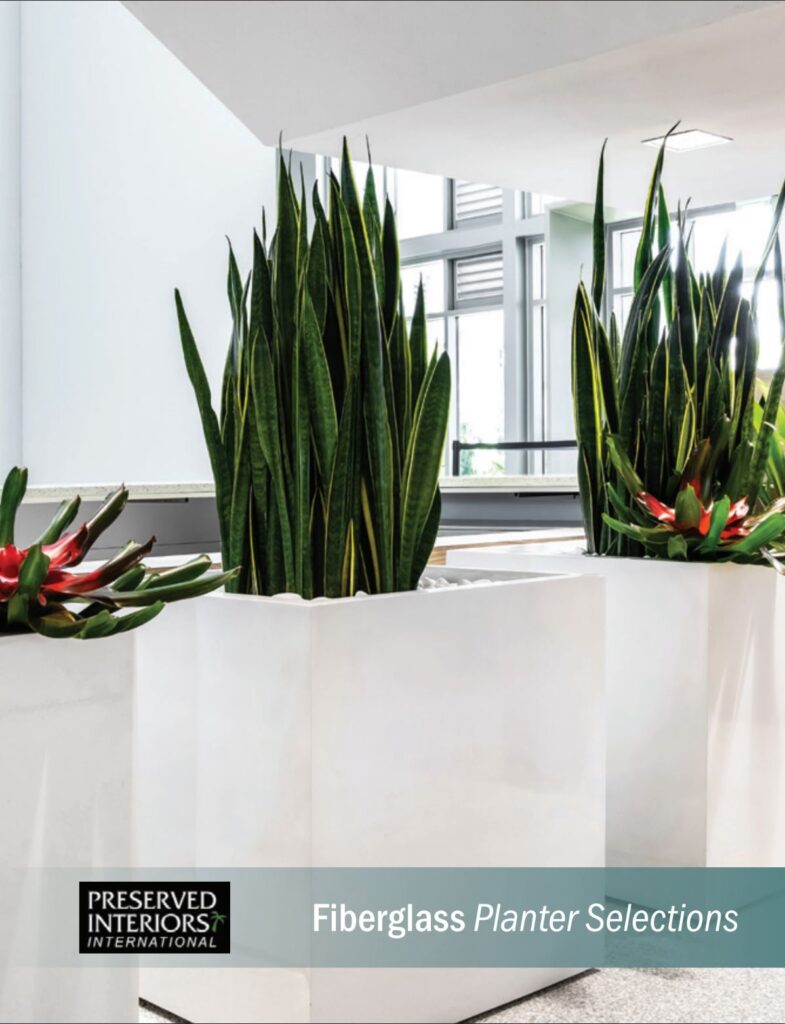 Fiberglass planters featuring tall green plants and vibrant flowers, showcasing modern design and elegance for indoor spaces.